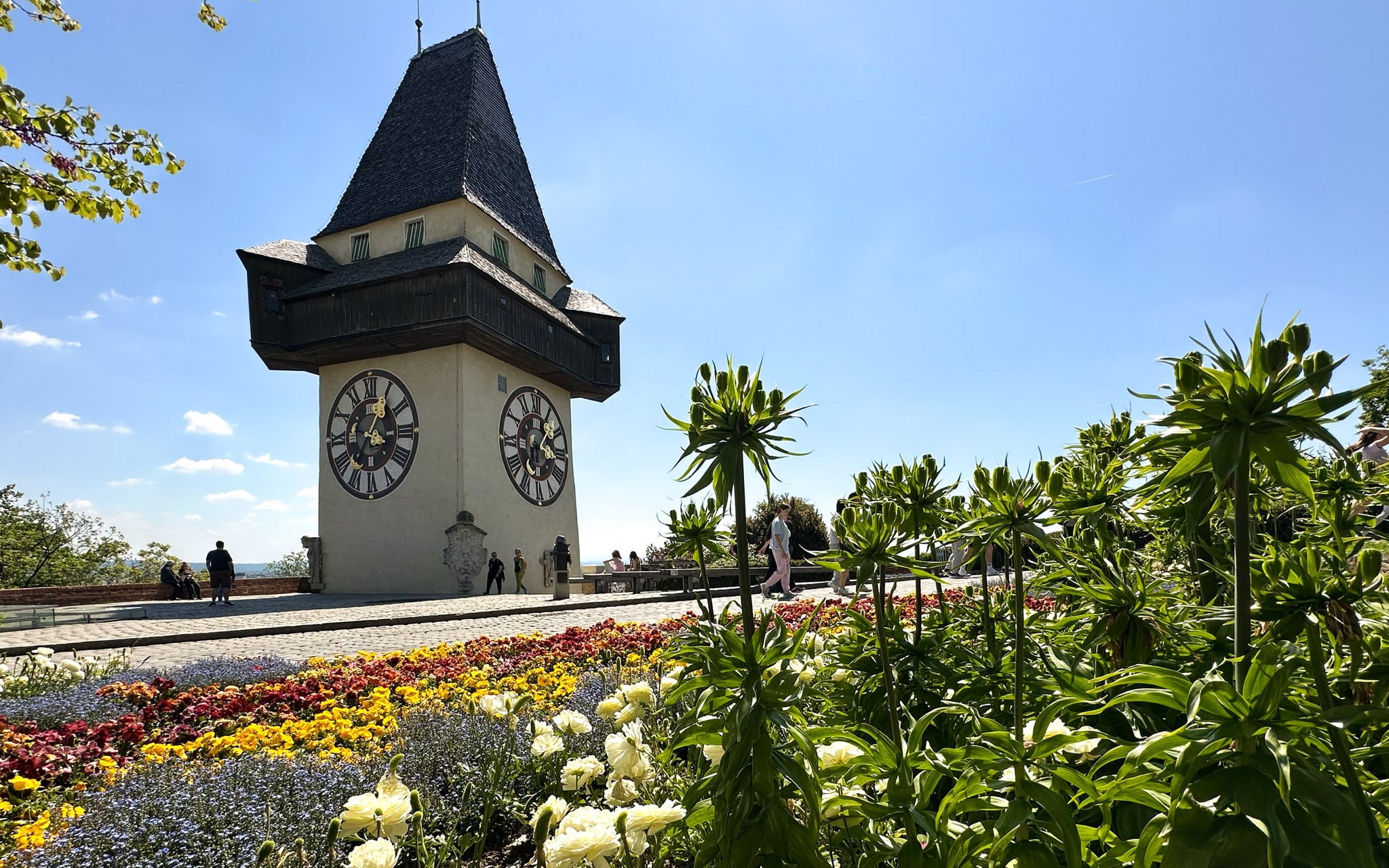 Graz's spring flowers