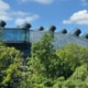 Could Graz Host Eurovision 2026