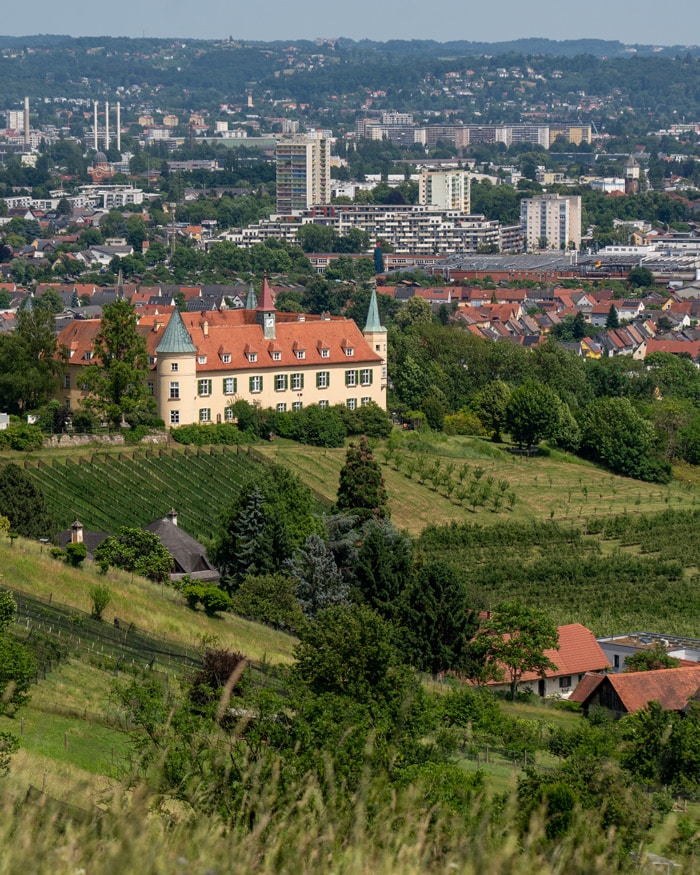 Take a walk through urban vines in Graz