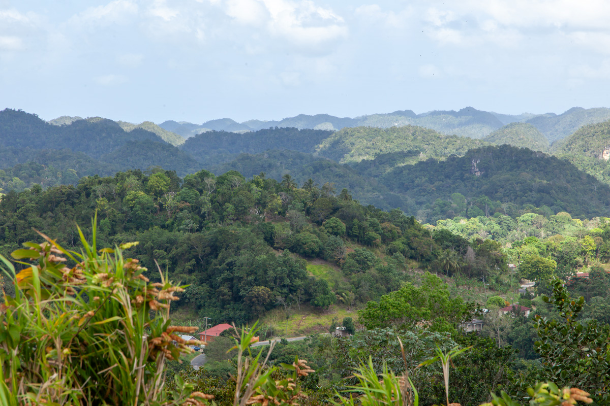 Green mountain views