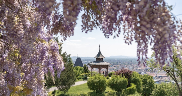 Graz in spring is pretty flowers and blue skies