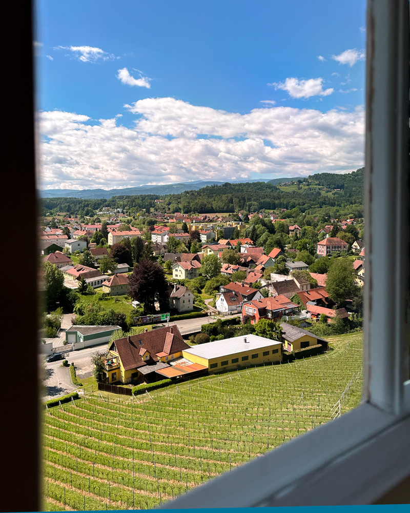Views of the village and vineyard at Schloss Stainz