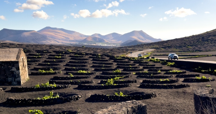 Road trip Lanzarote's landscapes and bodegas in autumn