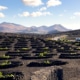 Road trip Lanzarote's landscapes and bodegas in autumn