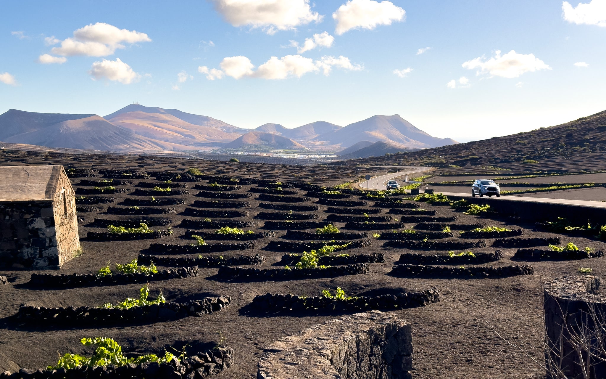 Road trip Lanzarote's landscapes and bodegas in autumn